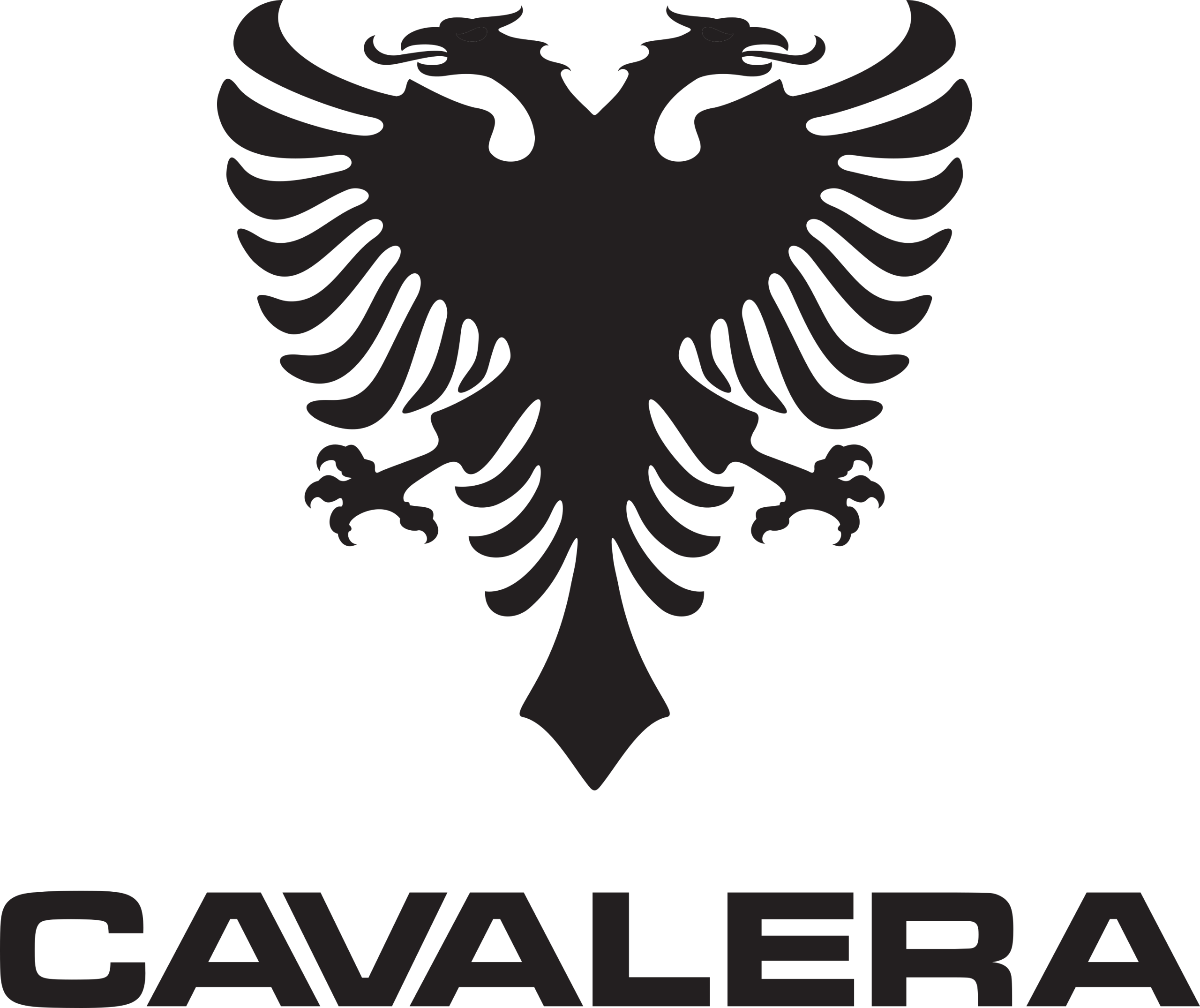 cavalera-logo